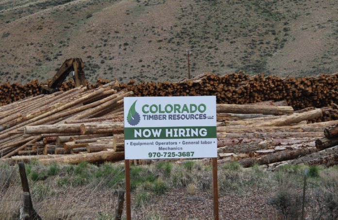 photo by Kim Cameron | Lumber is stacked on top of lumber, waiting to be milled by Confluence Timber Resources in Parshall. photo by Kim Cameron | Lumber is stacked on top of lumber, waiting to be milled by Confluence Timber Resources in Parshall.