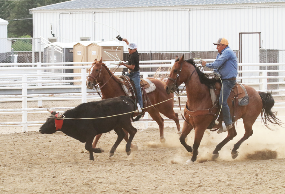 photo by Kim Cameron | Rudy Jr. heels for his dad at the practice roping. Rudy Jr. says he always “lets his rope lay” say he catches and he always tries to keep
his horse wide coming out the roping box so that he doesn’t hit the steer. Rudy, Sr. appreciated the Grand County Commissioners and staff who make it possible to rope at the Kremmling arena in the summer.